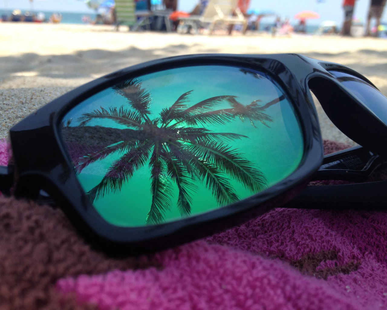 В очках отражение пальмы