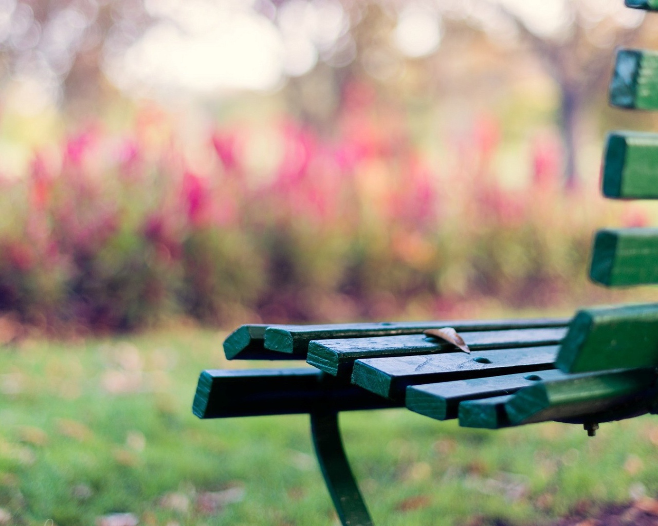 Зелёная скамейка на траве