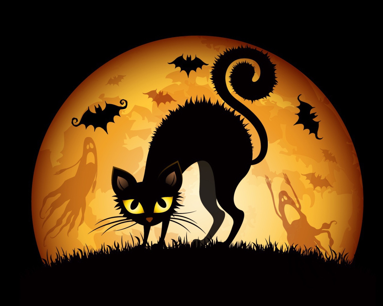 Хеллоуинский кот