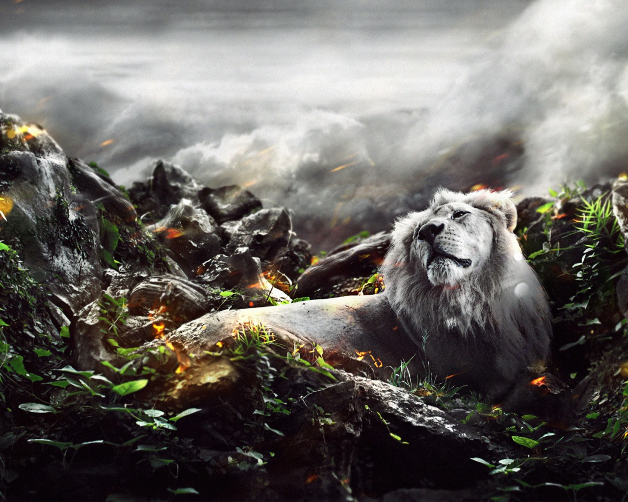 Лев в джунглях