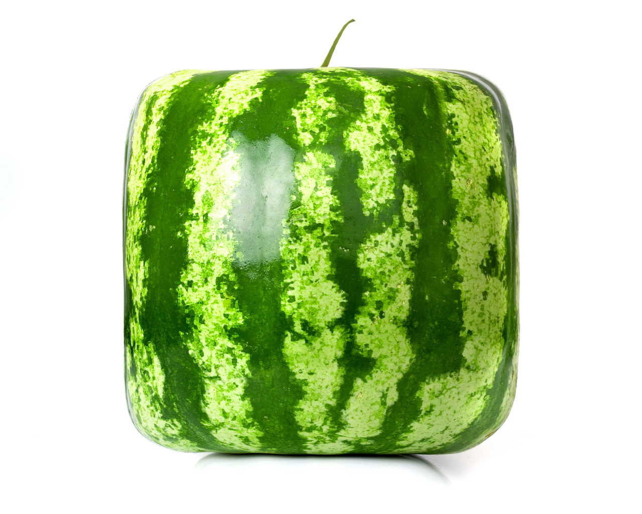 Просто квадратный арбуз