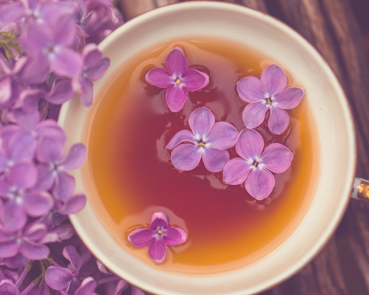 Сирень в чашке