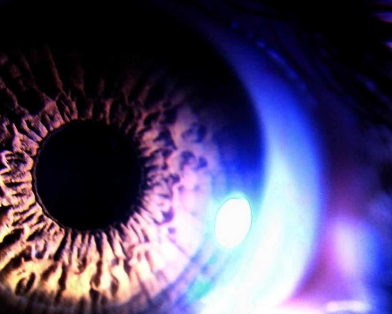 Reflection of neon in the pupil