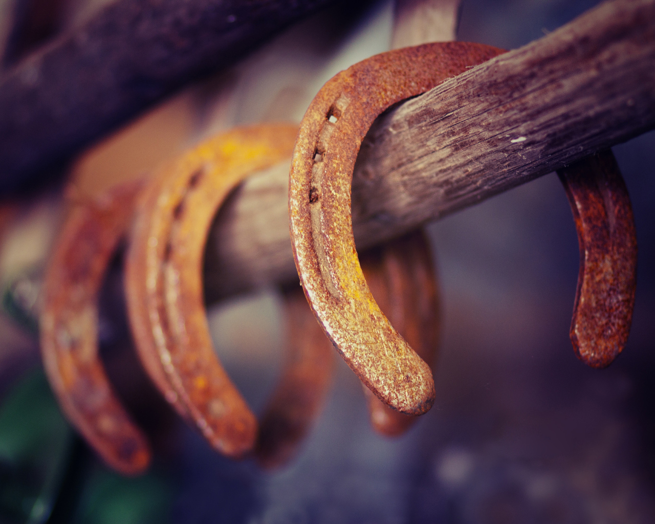 Ржавые подковы