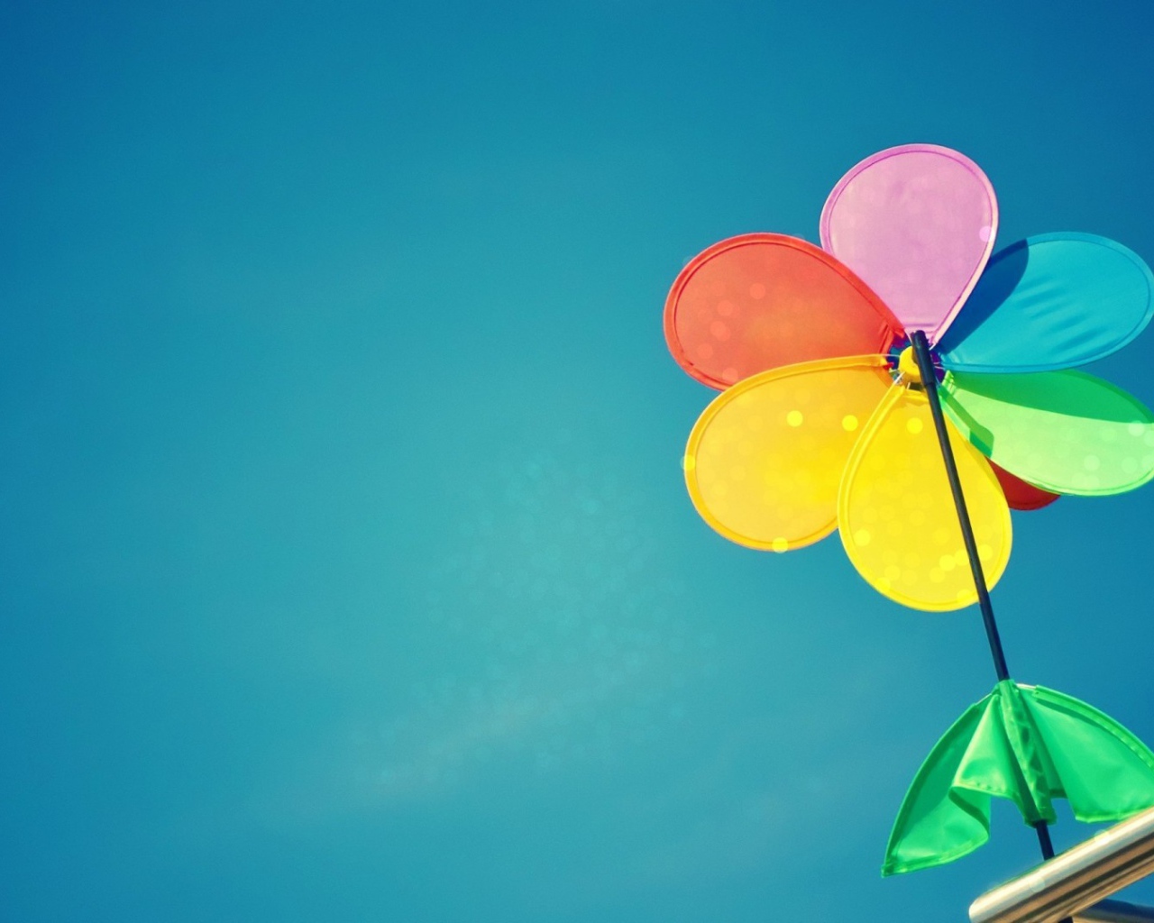 Cемицветик с листом