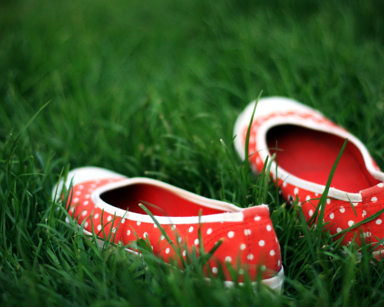 Тапочки в траве
