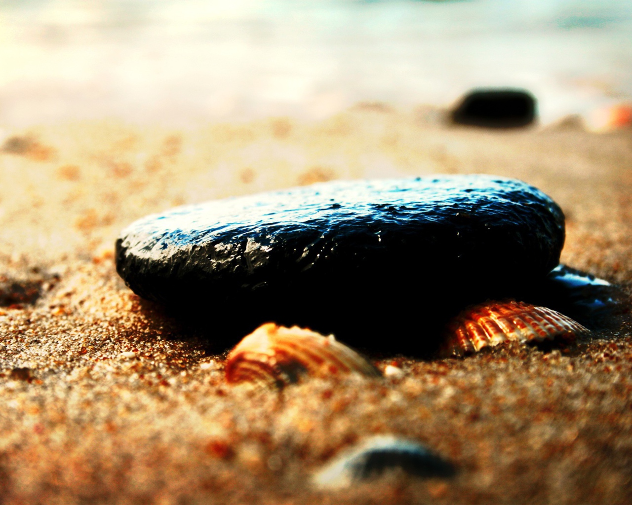 Камень и ракушки