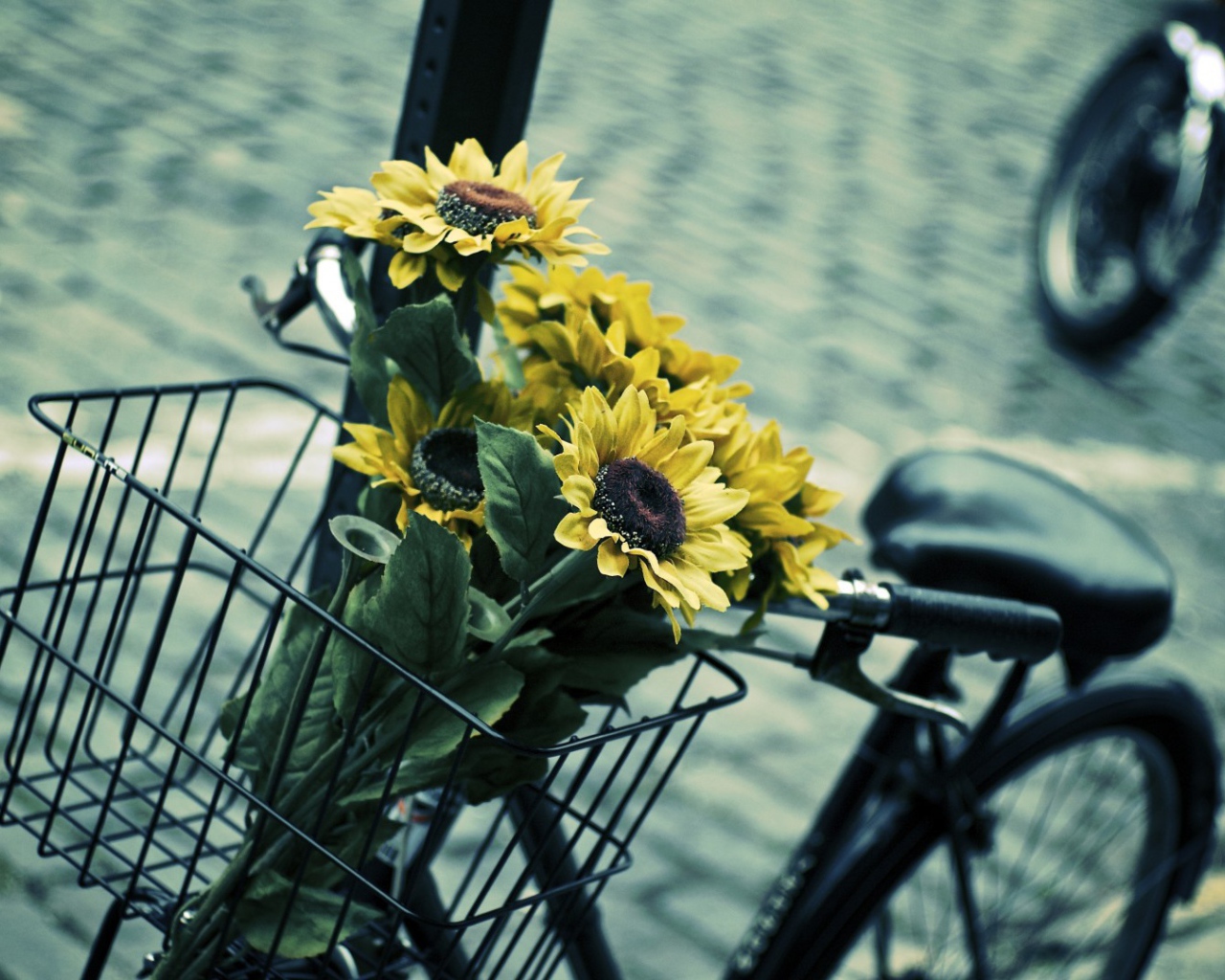 Подсолнухи в корзине велосипеда