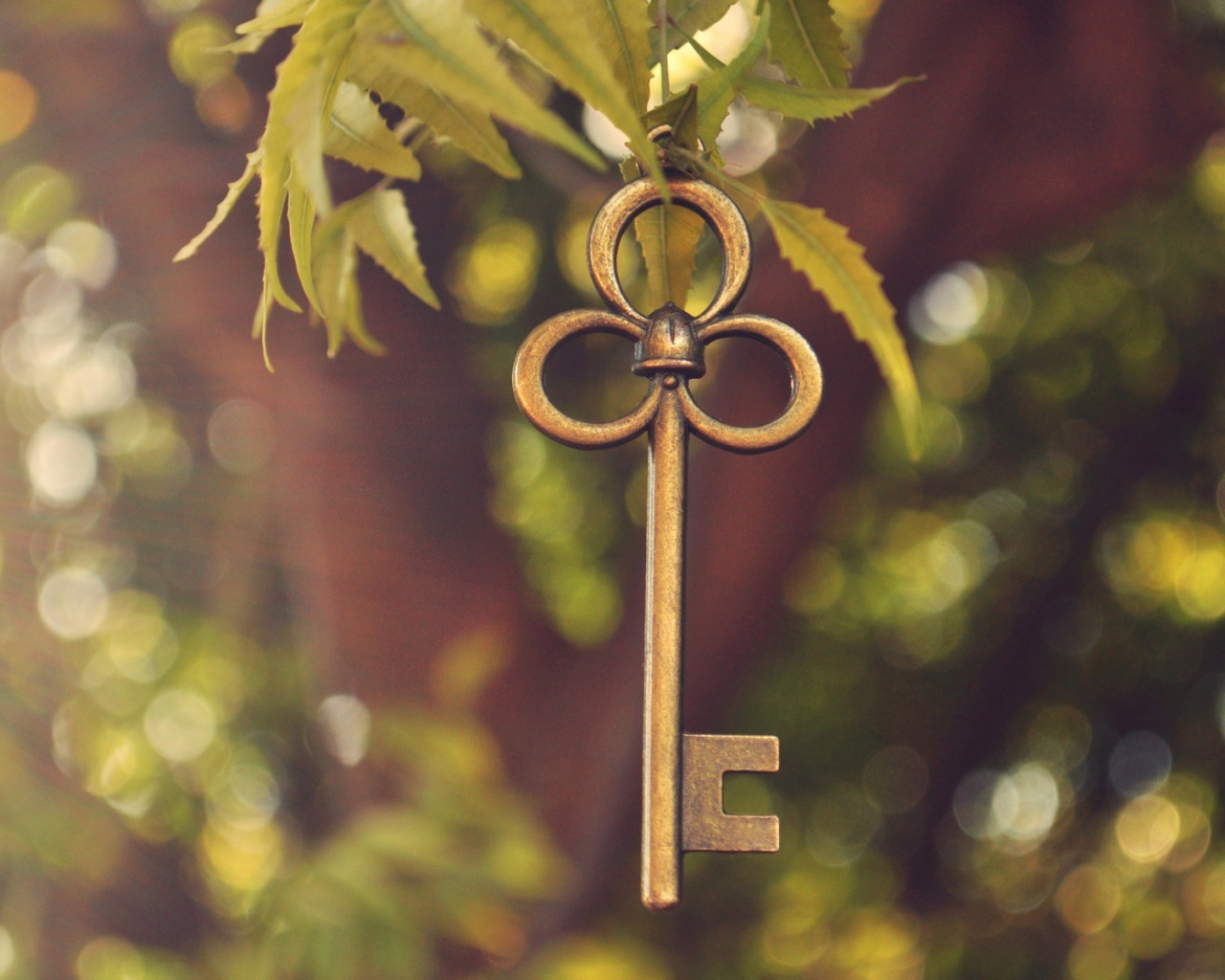 Ключ висит на ветке