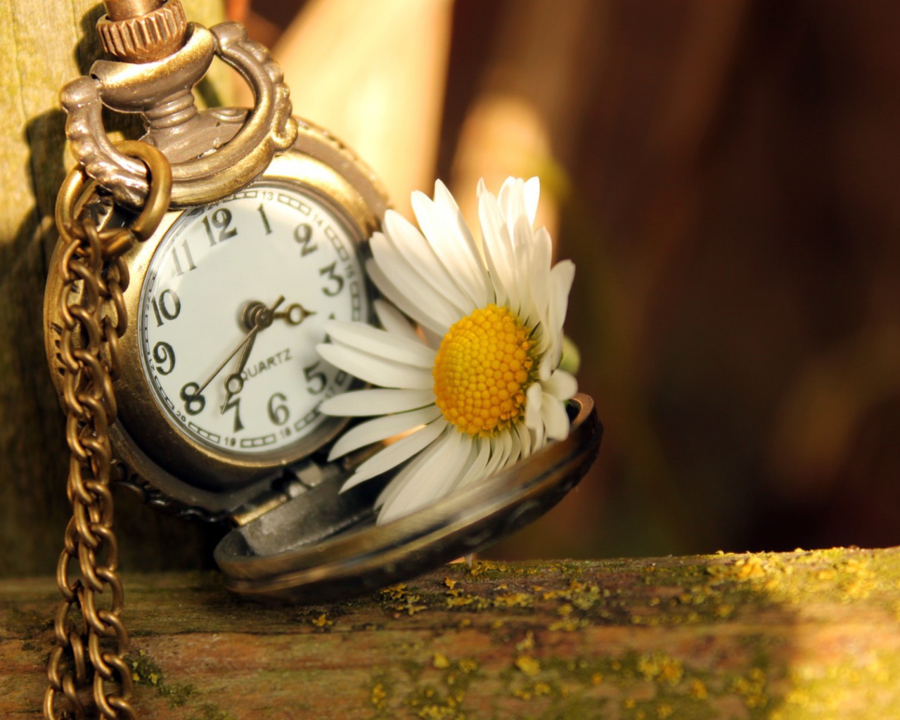 Часы и ромашка