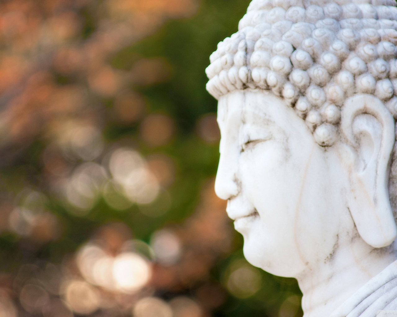 Голова белого Будды