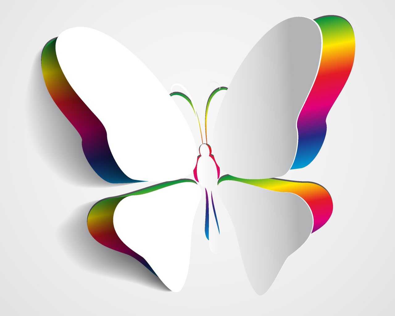 Крылья белой бабочки