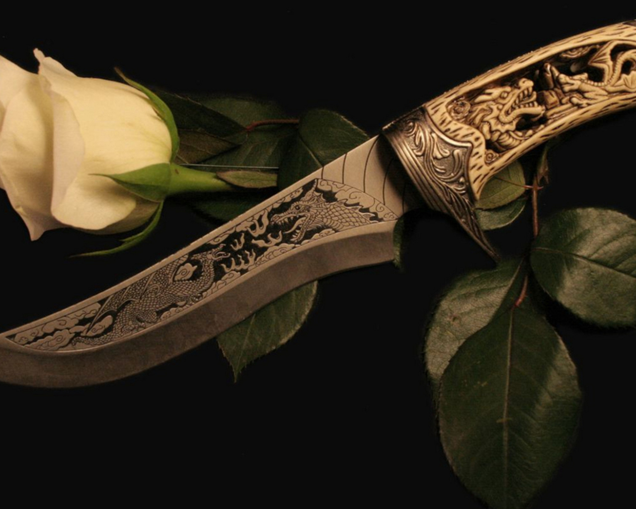 Белая роза и кинжал
