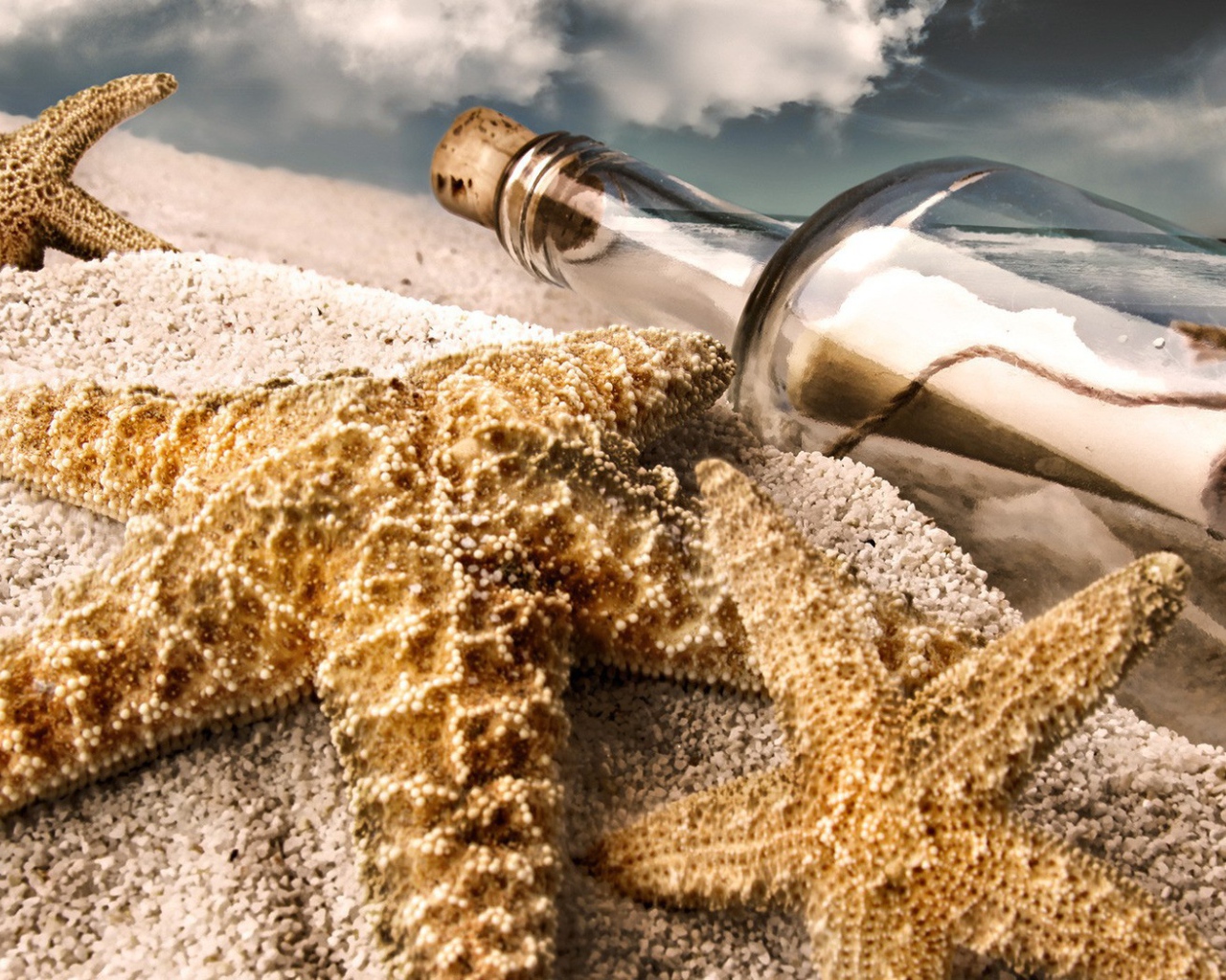 Морская звезда и бутылка с письмом