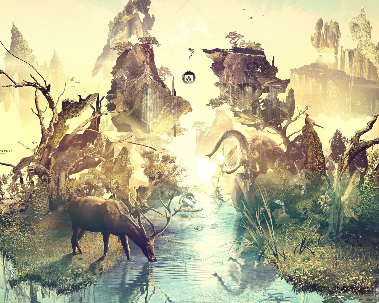 Олень на водопое