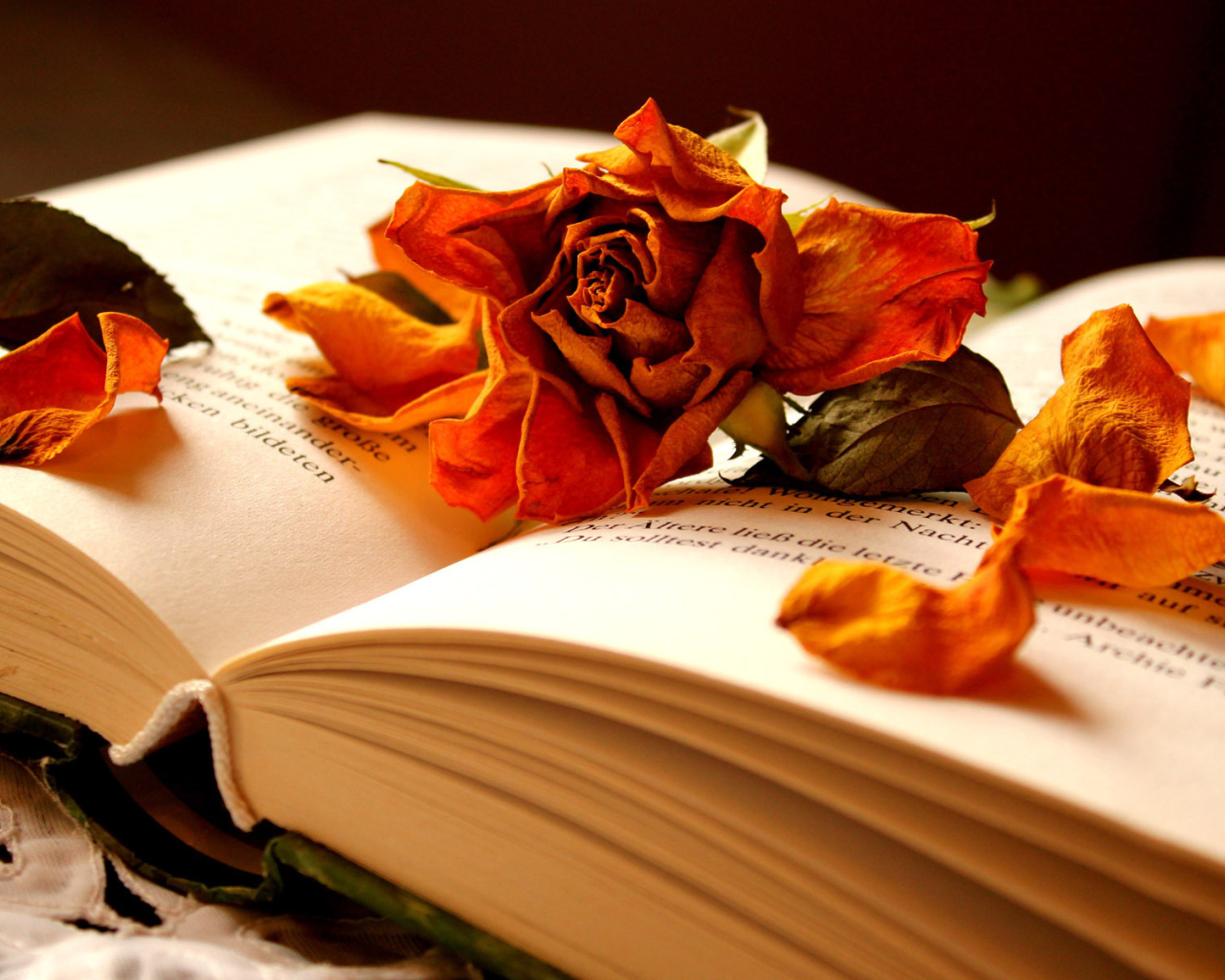 Засохшая роза на книге