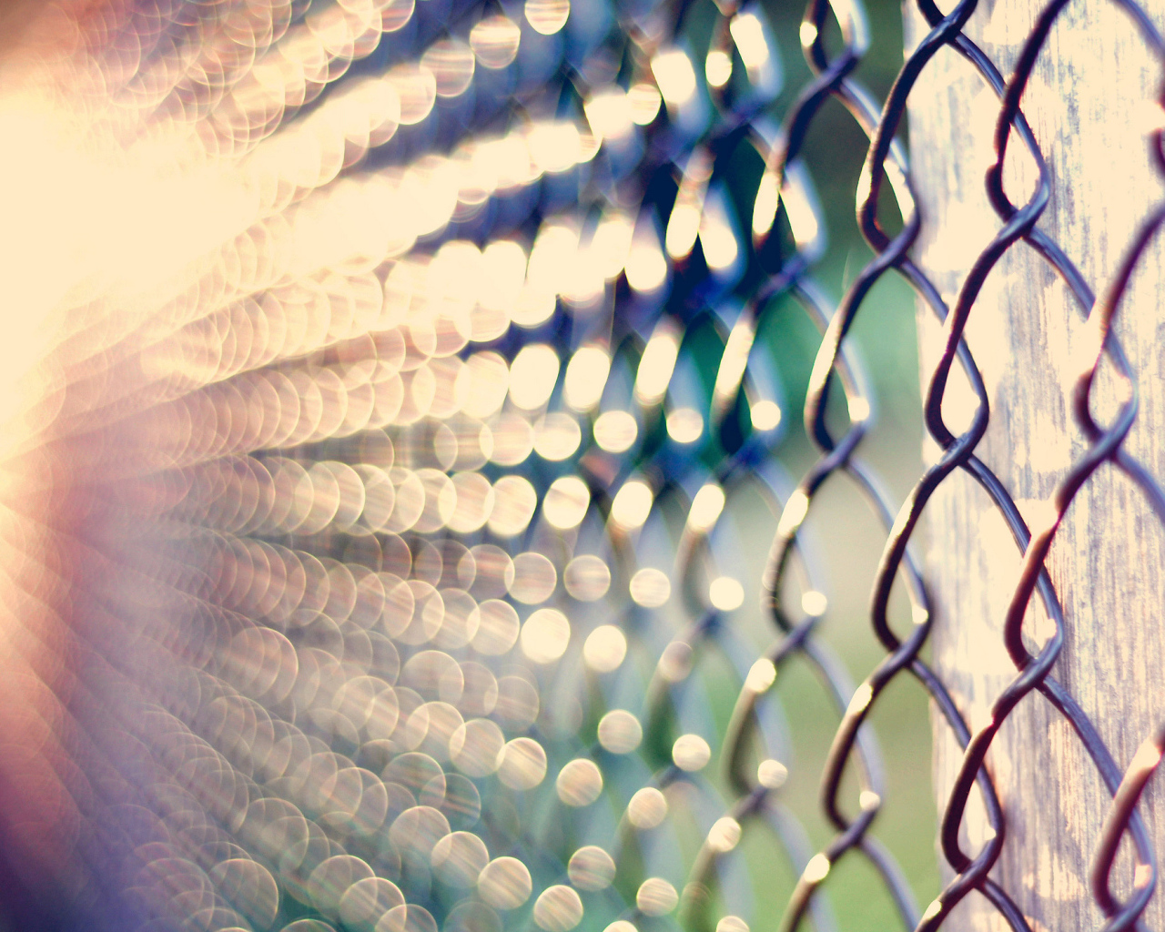 Забор из рабицы