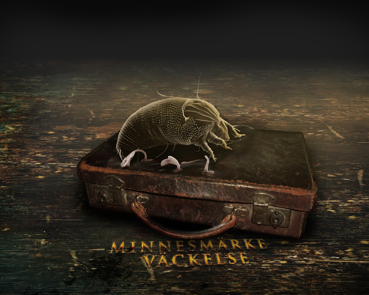 Старый чемодан