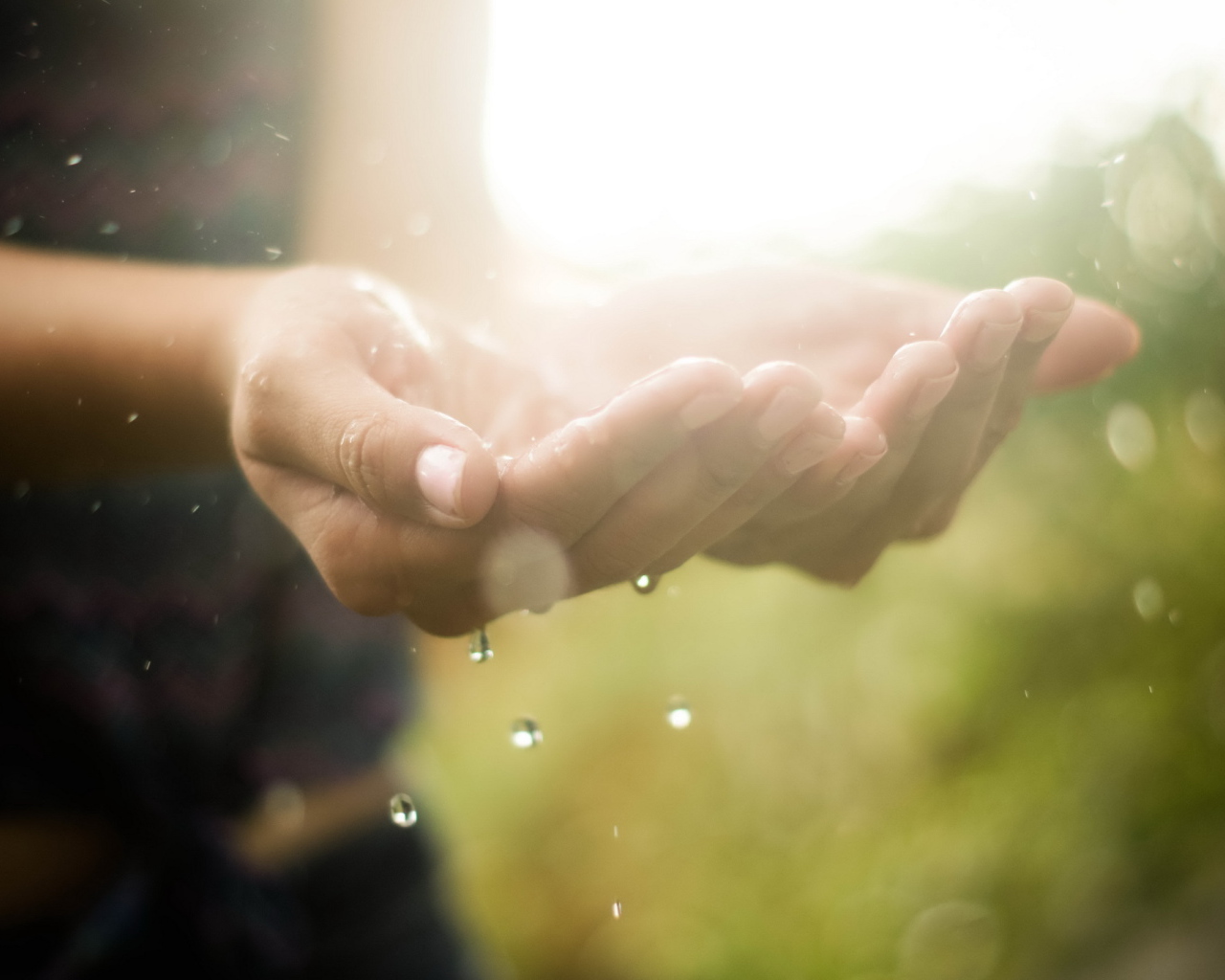 Ладони с водой