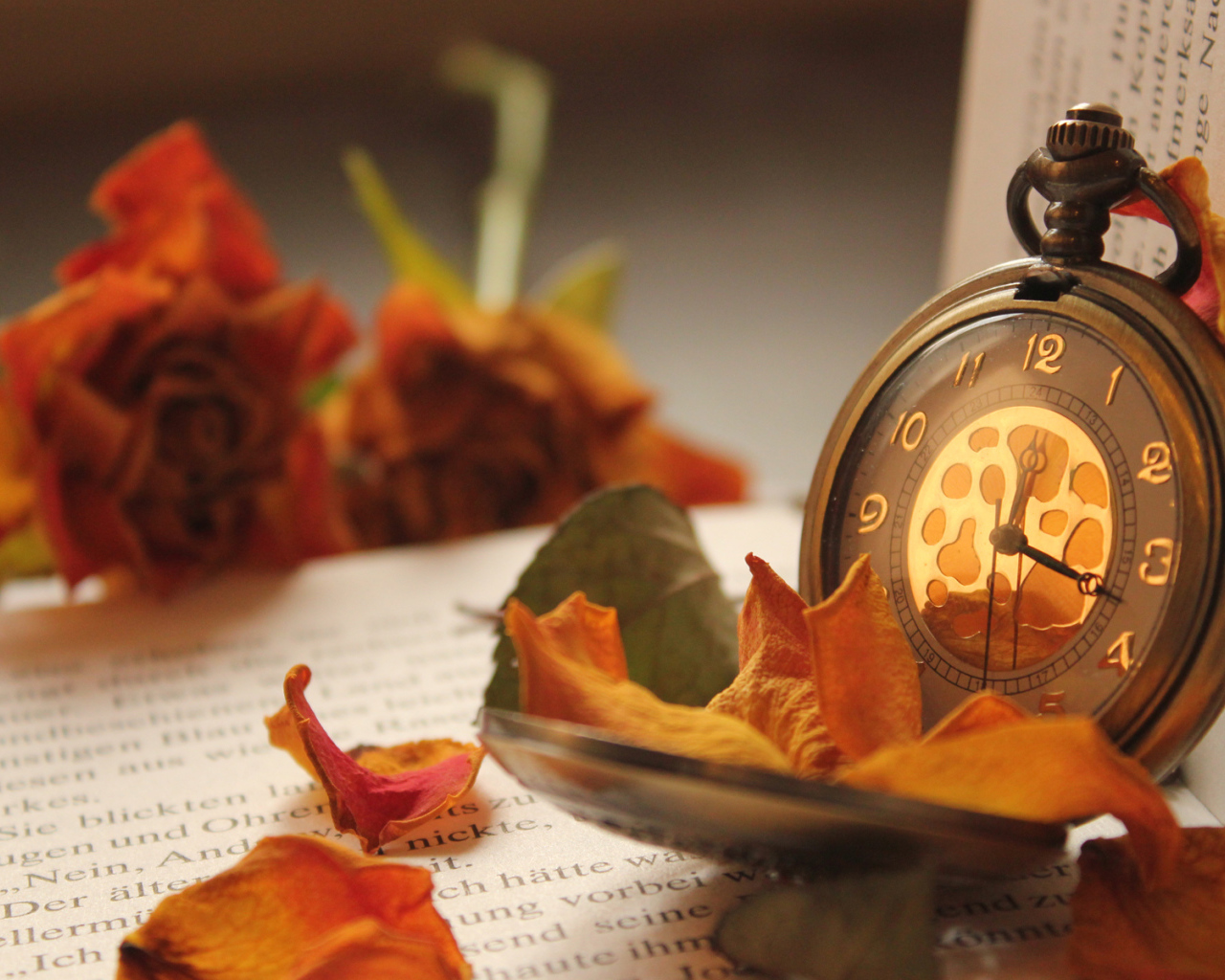 Карманные часы на книге