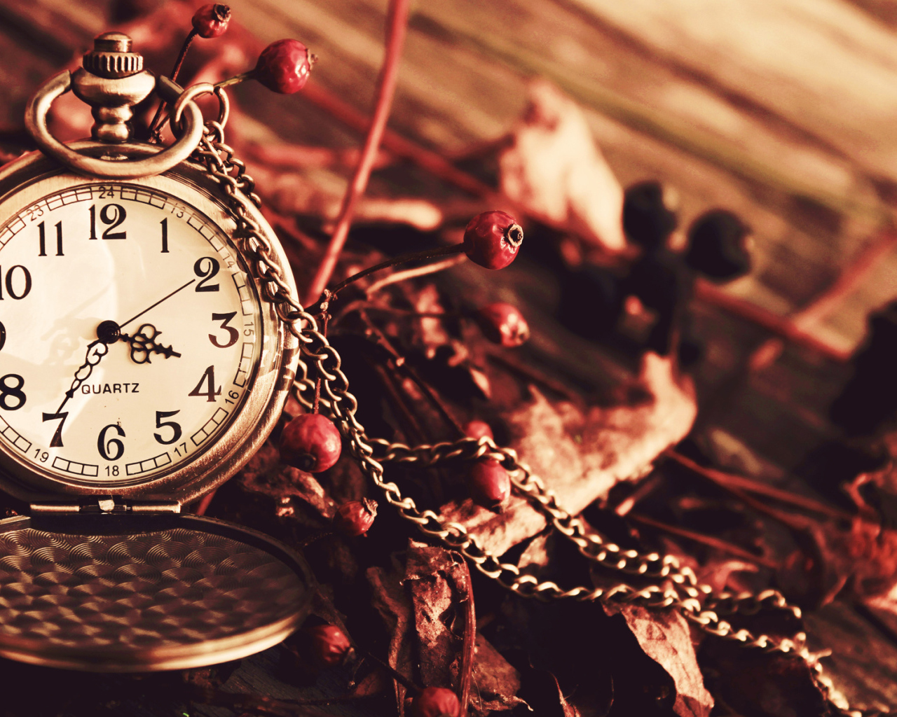 Карманные часы с цепочкой