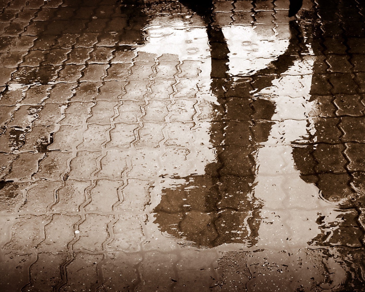 Отражение человека в луже