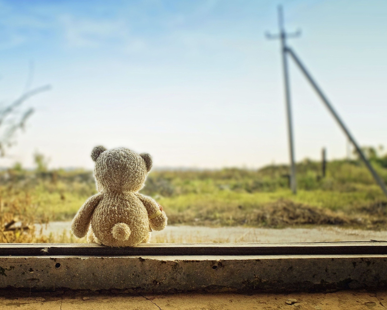 Мишка ждет свою хозяйку