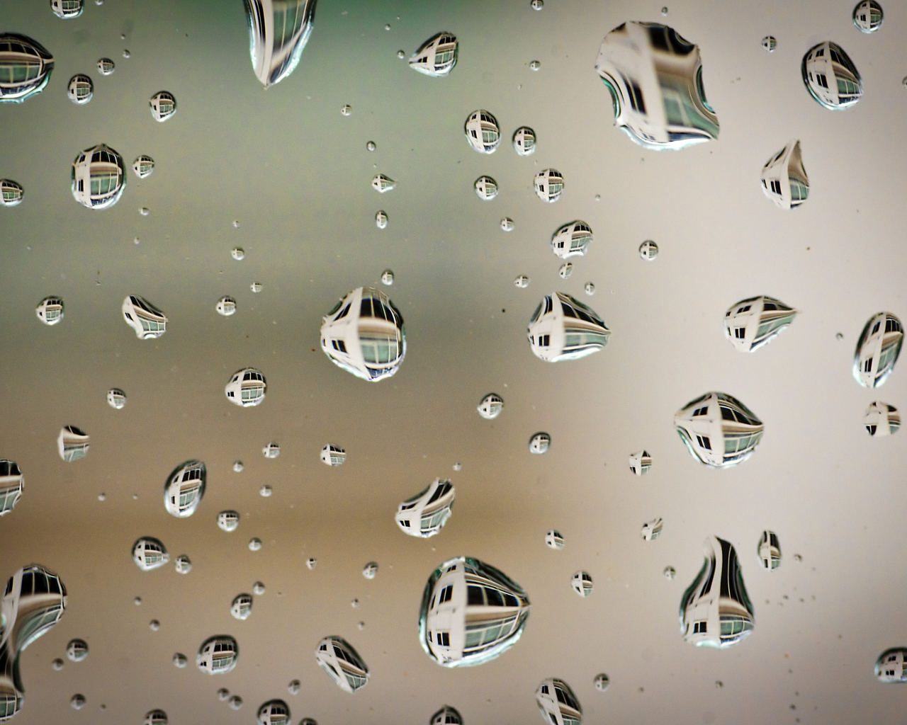 Отражение в каплях