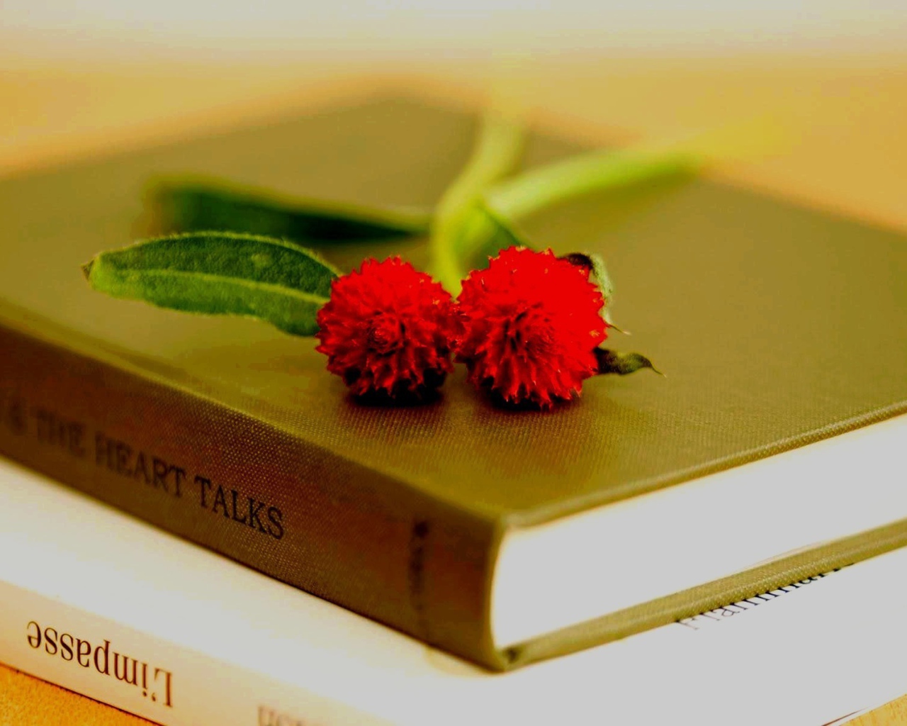 Два красных цветка на книгах