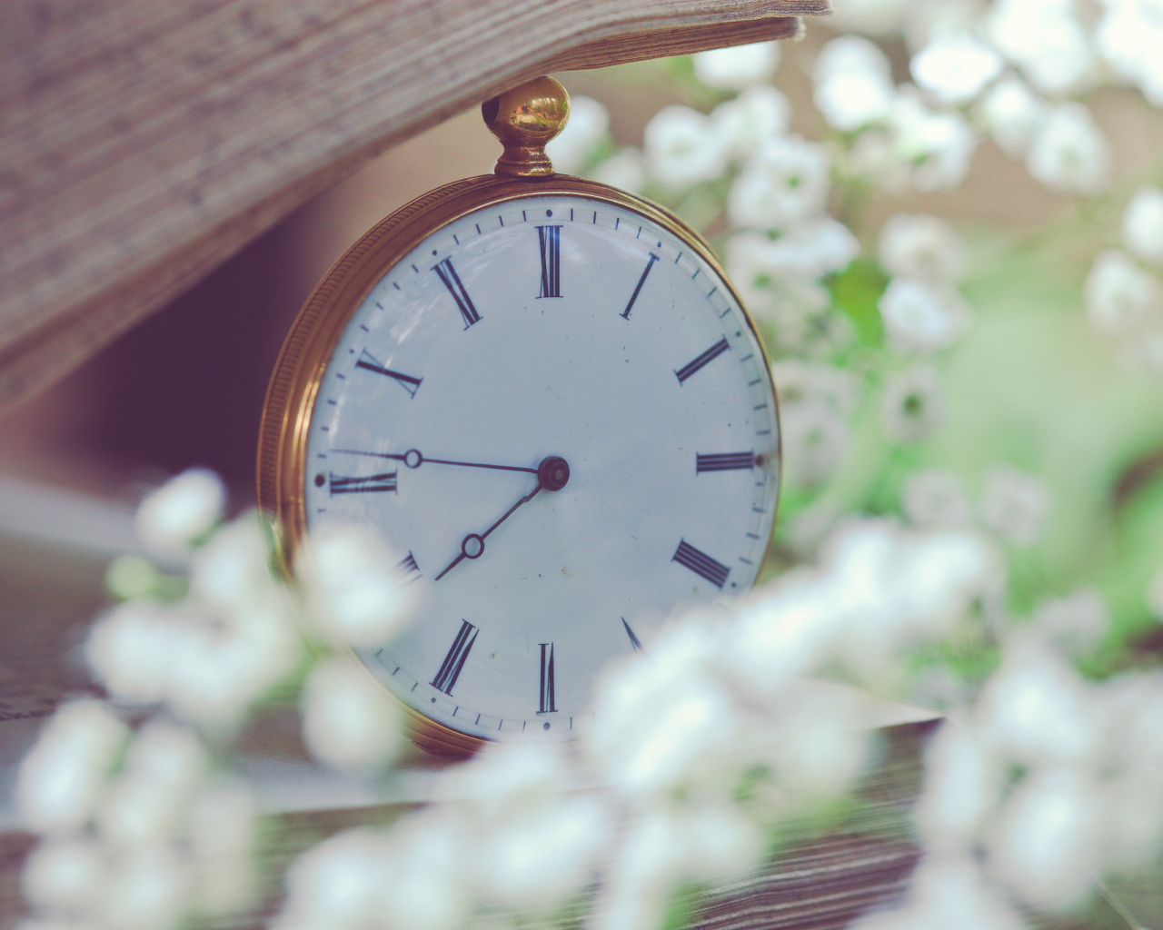 Белые карманные часы