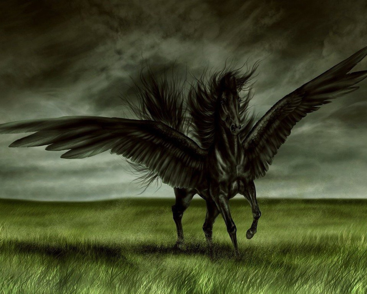 Черная лошадь с крыльями