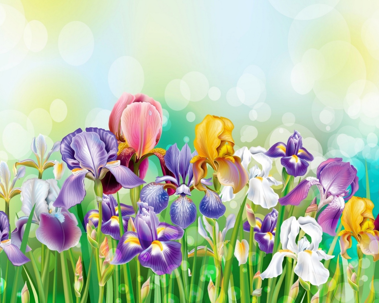 Букет полевых цветов