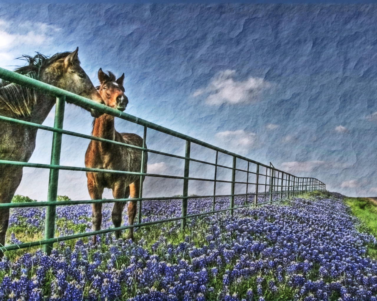 Лошади у забора