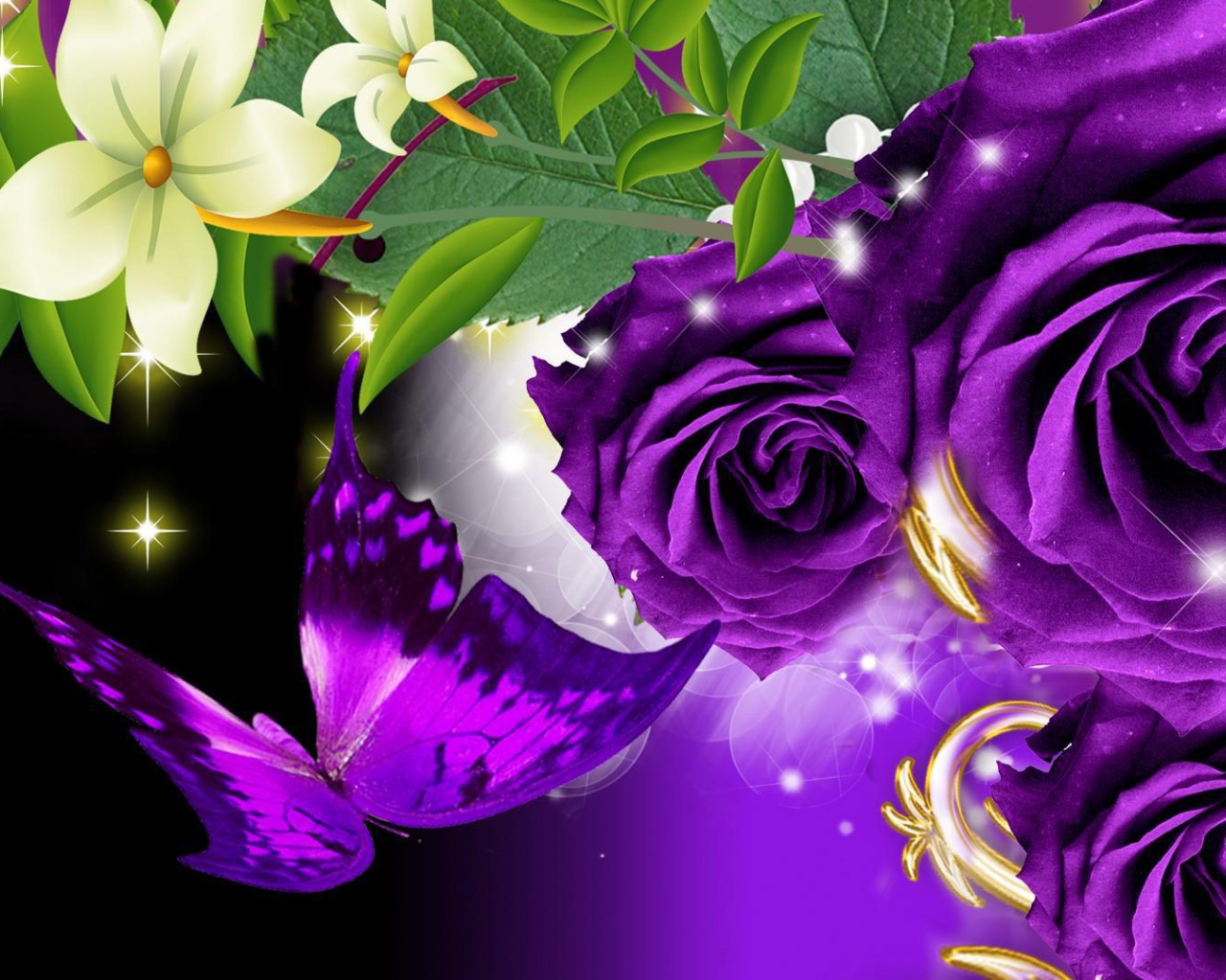 Фиолетовые розы и бабочка на чёрном фоне