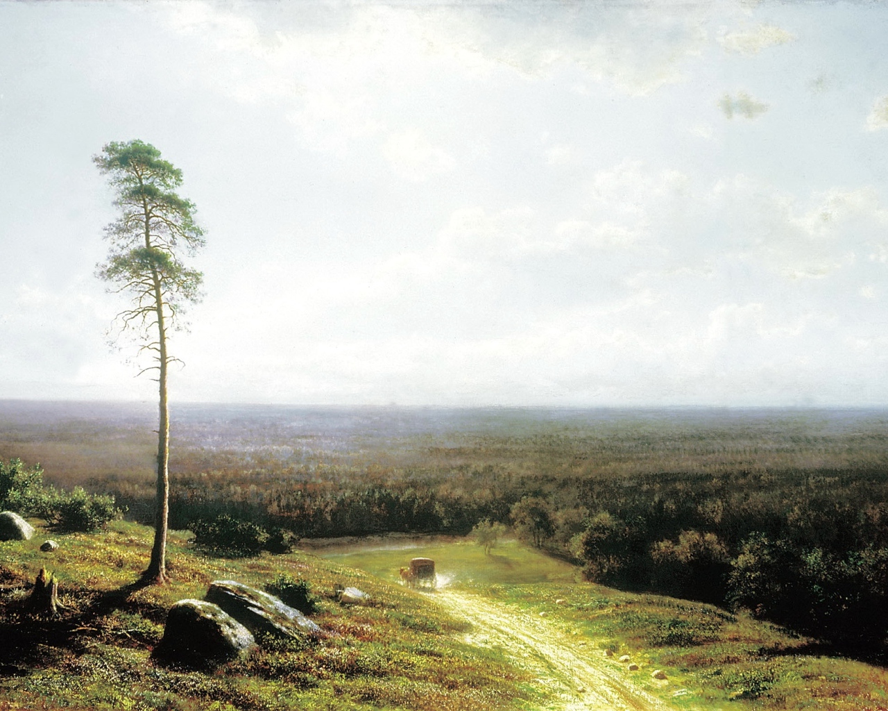 Одинокое дерево у дороги