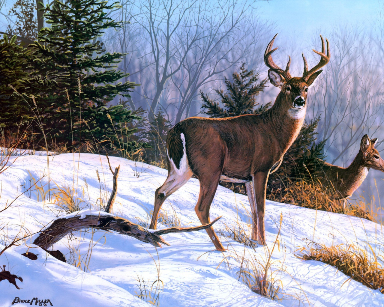 Картина Брюс Вильямс