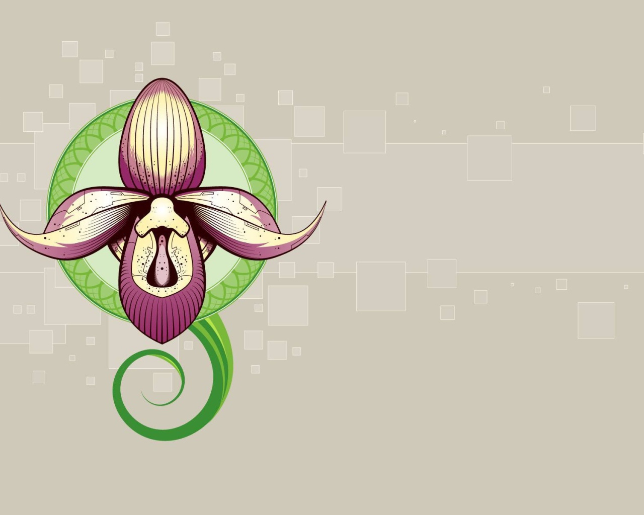 Рисунок орхидеи