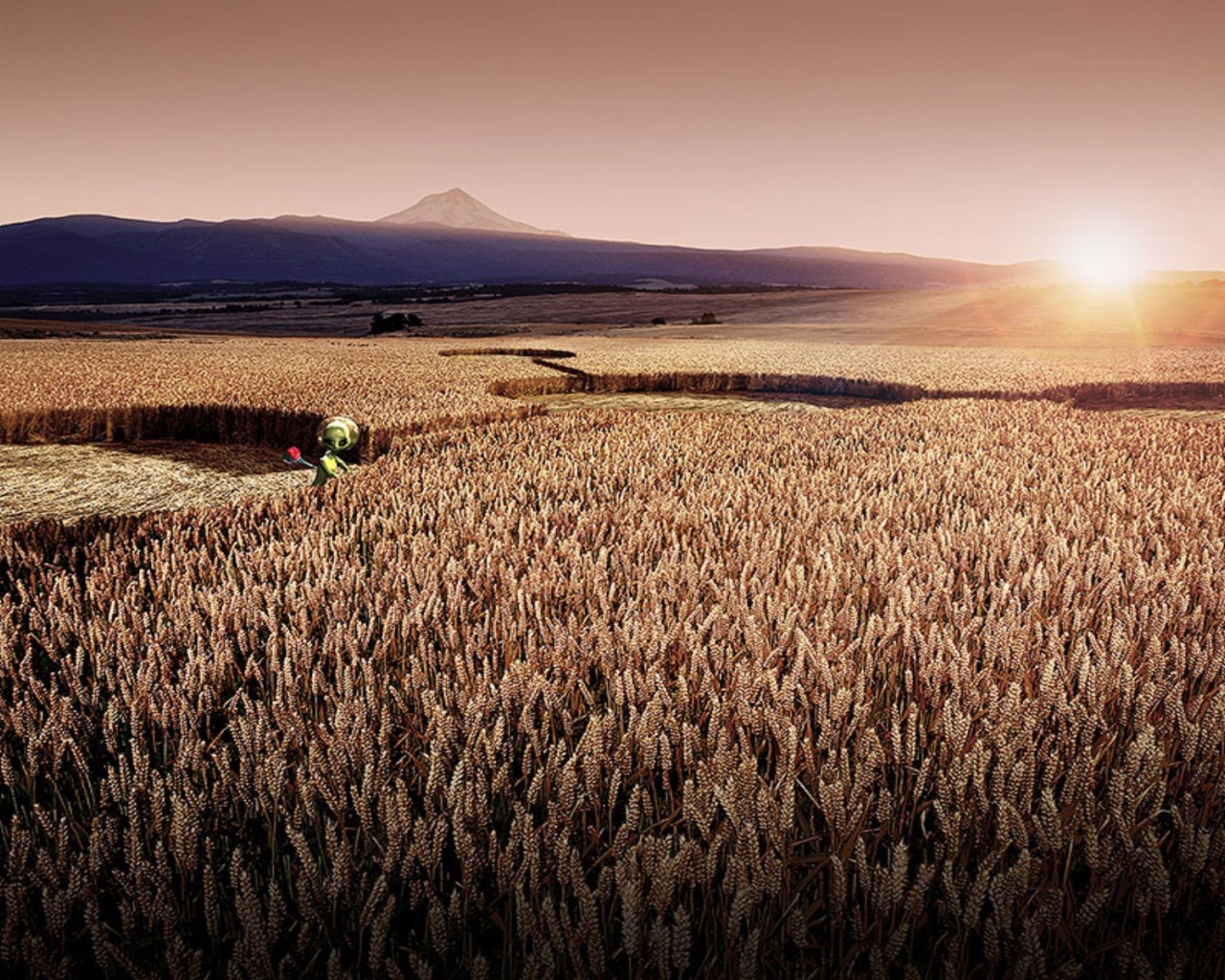 Цифровой рисунок поля