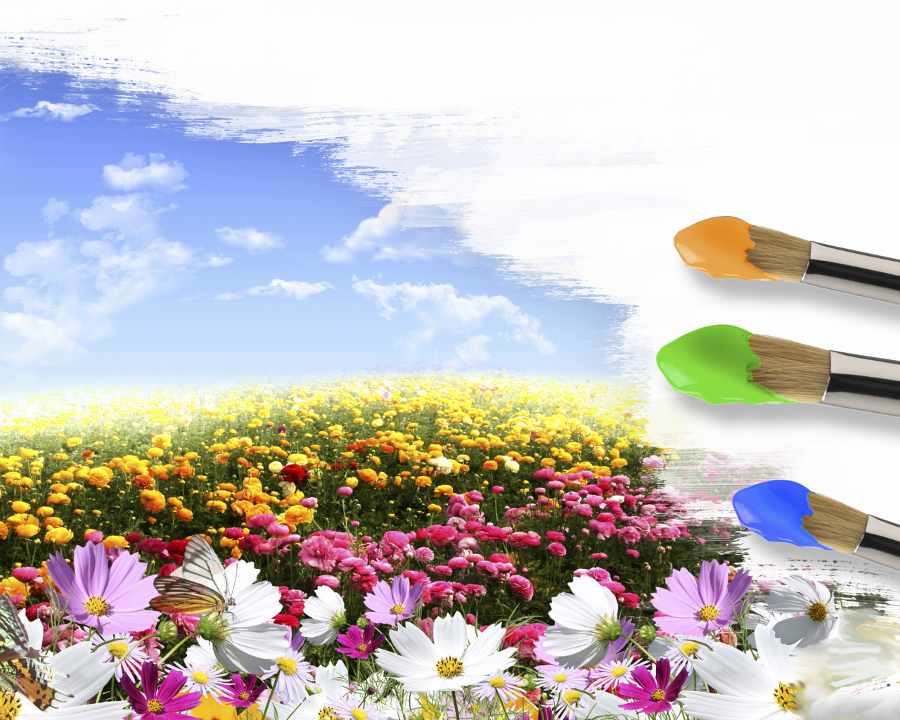 Поле цветов и кисти