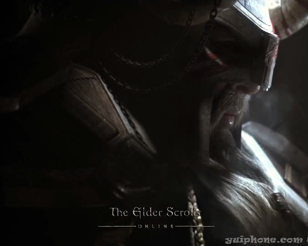 Закаленный в боях викинг