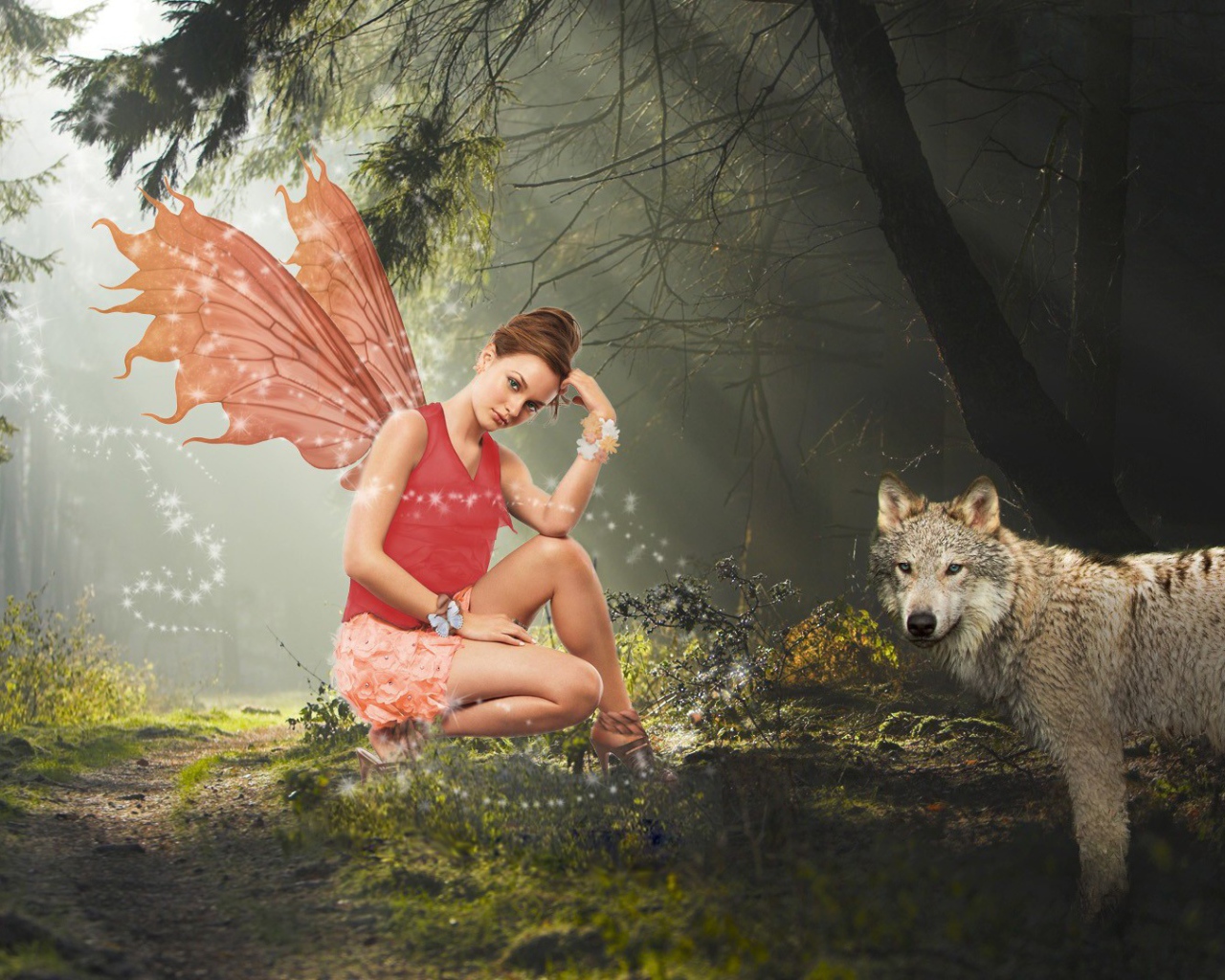 Лесная фея и волк