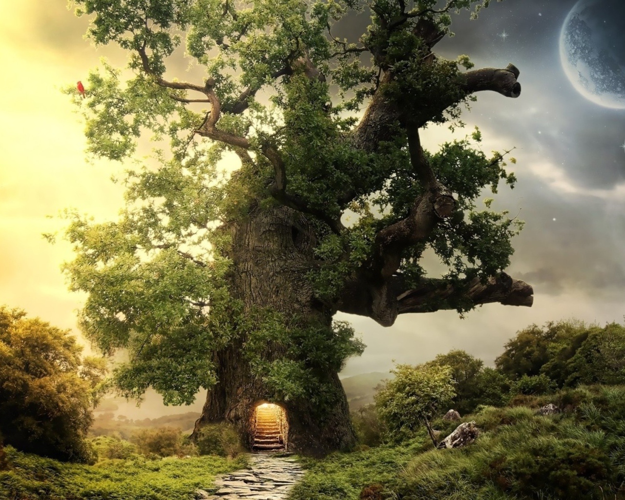 Дорога ведущая в дерево