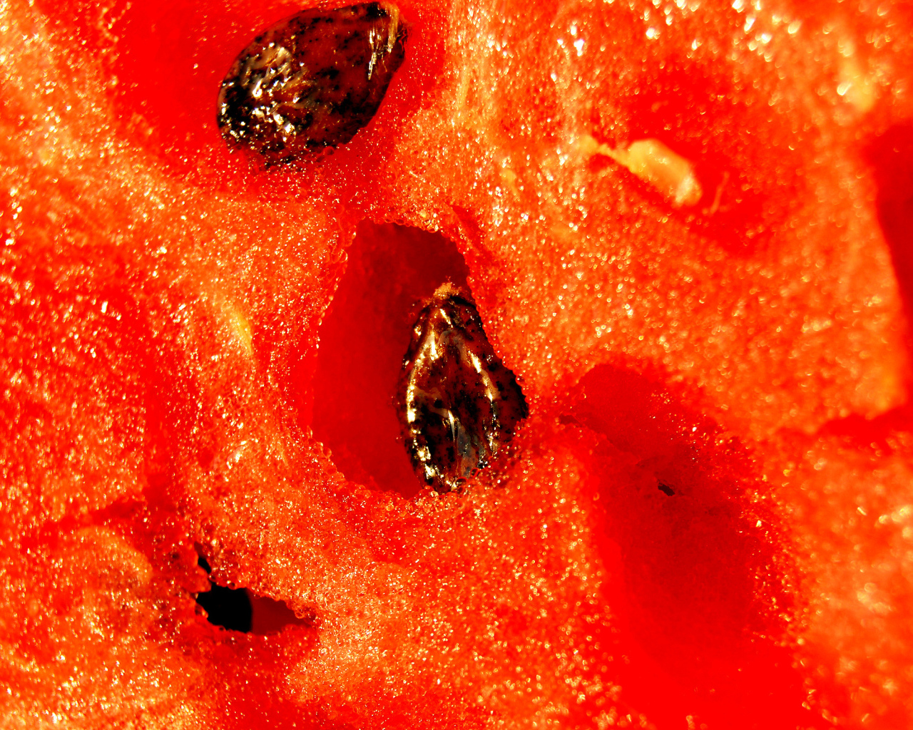 Яркий сочный арбуз