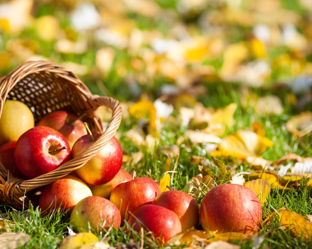 Корзина с яблоками