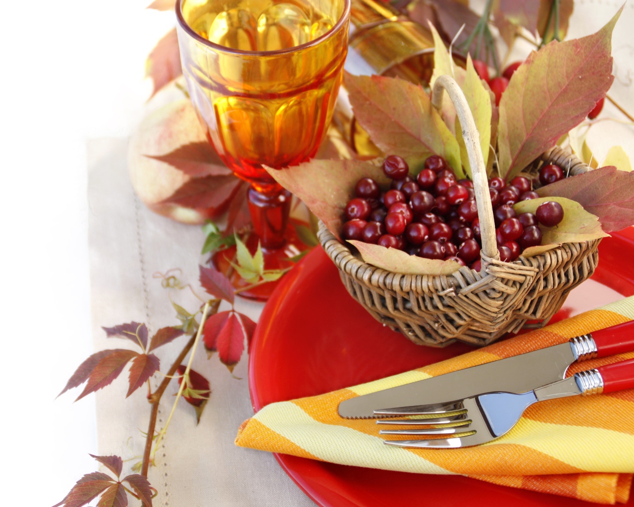 Ягоды рябины в корзине