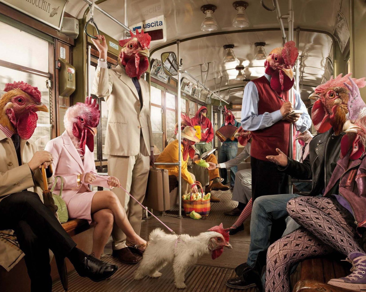 Поездка в курятнике