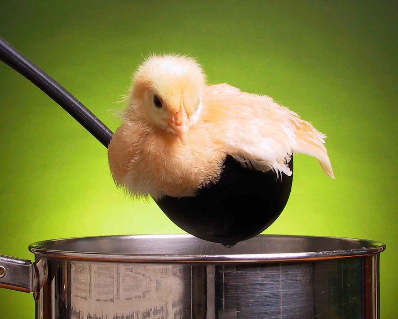 Цыпленок в кастрюле