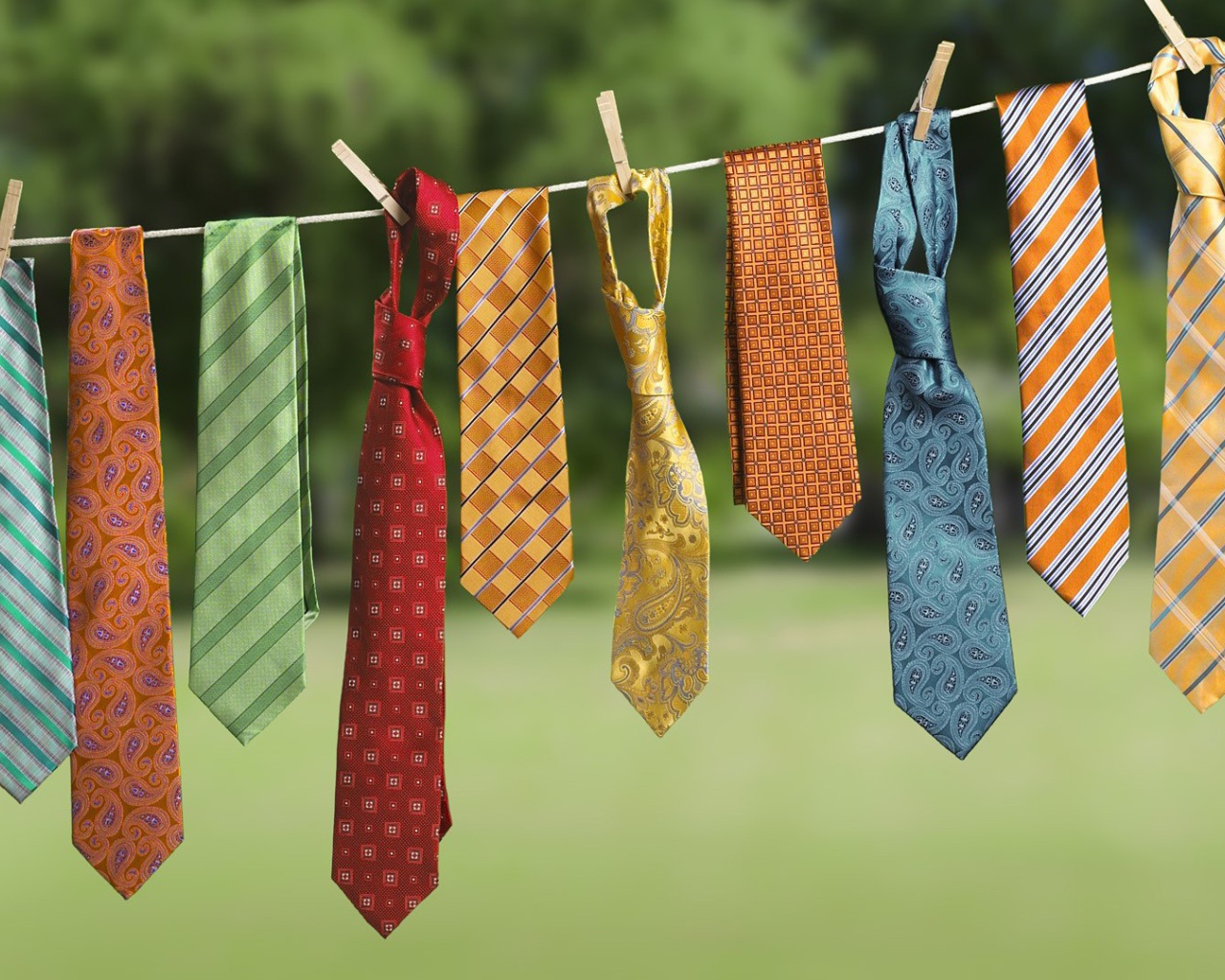 Мужские галстуки на веревке