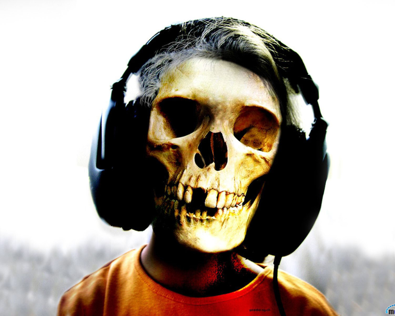 Череп в наушниках