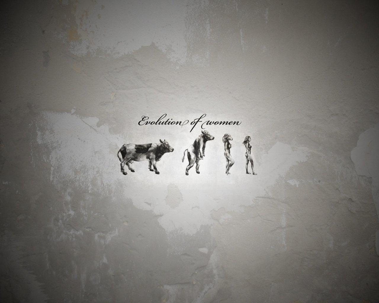 Эволюция женщины